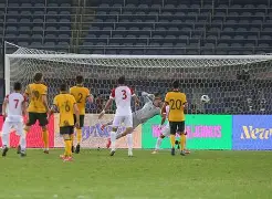 开云体育风险分析-布鲁克林有棵树在线阅读免费